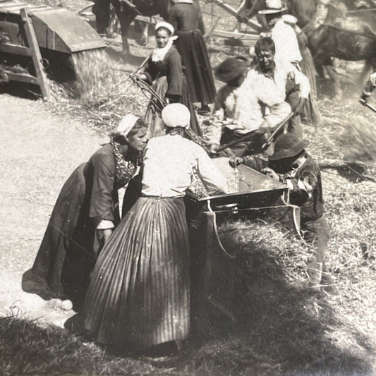 Antique 1912 Grain Farming Carhaix-Plouguer France Stereoview Photo Card P1667