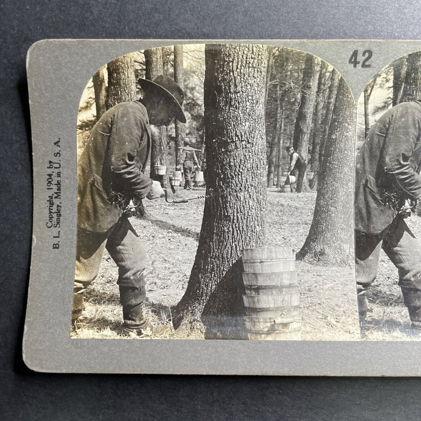 Antique 1904 Maple Syrup Tapping Trees Vermont USA Stereoview Photo Card P1535