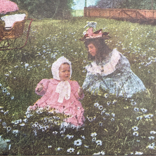 Antique 1898 Children Picking Daisies In A Field Stereoview Photo Card P1214