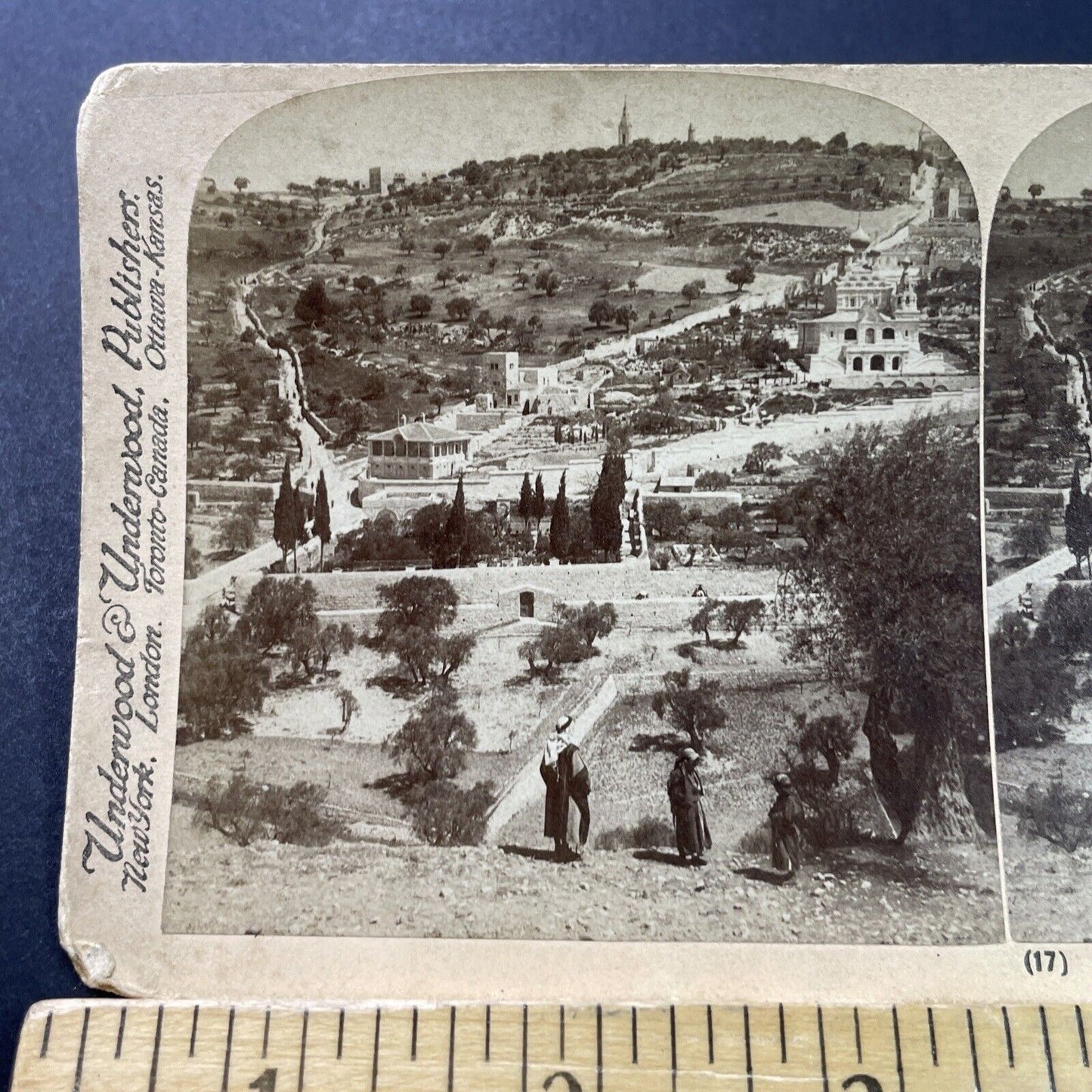 Antique 1899 Ancient Gardens Of Jerusalem Israel Stereoview Photo Card P3896