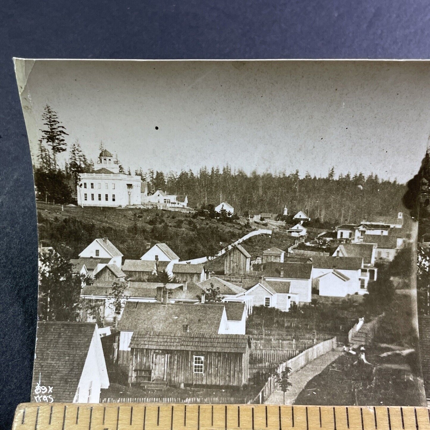 Seattle Washington Pine Street Stereoview Original Celluloid Photo c1870s Y471