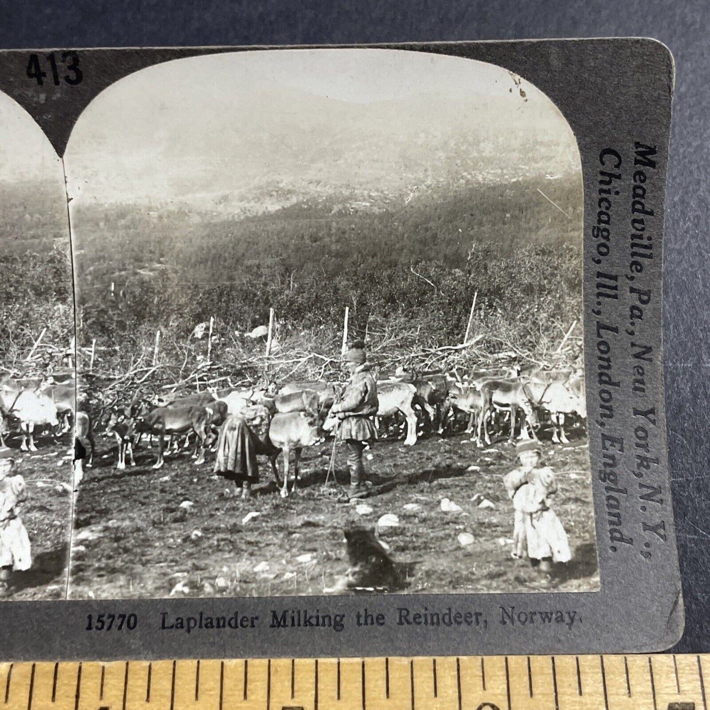 Antique 1910s Lapland Natives Milk A Reindeer Norway Stereoview Photo Card P5067