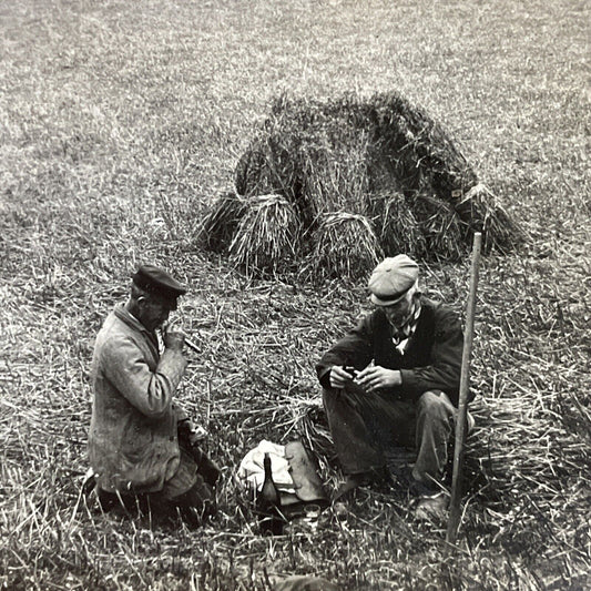 Antique 1920s Frisian Farmers Drinking Gin Boomsma Stereoview Photo Card P5169