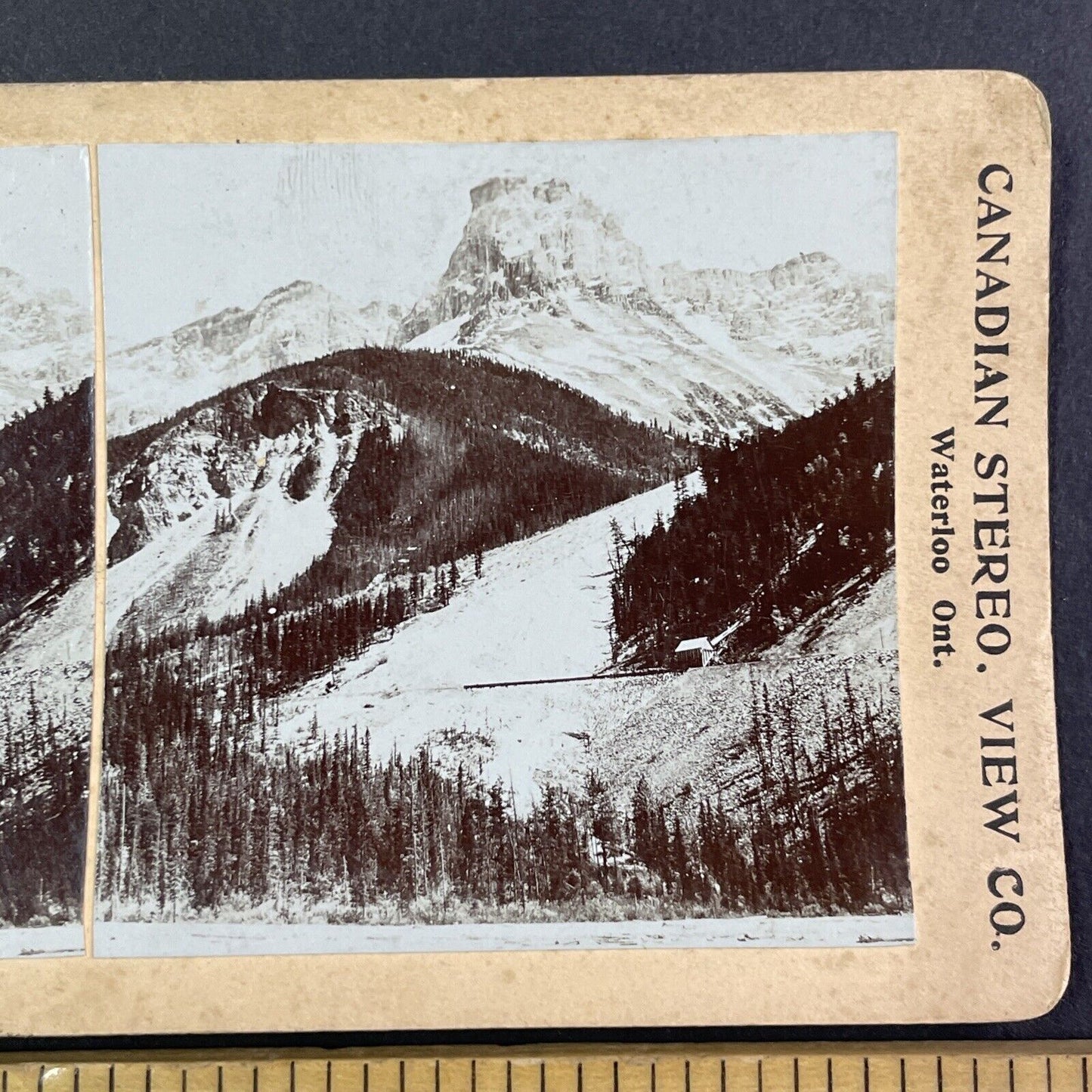 Cathedral Peak in Field British Columbia Stereoview CPR Rail Views c1899 Y2111