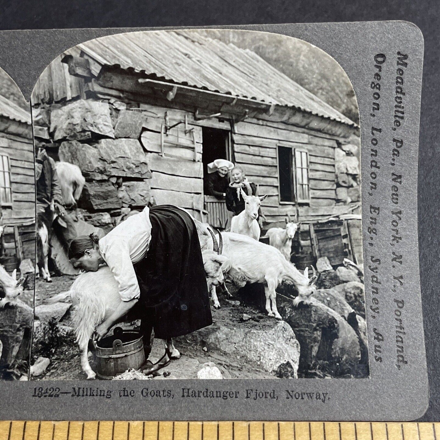 Antique 1909 Norwegian Woman Milking A Goat Norway Stereoview Photo Card P4256