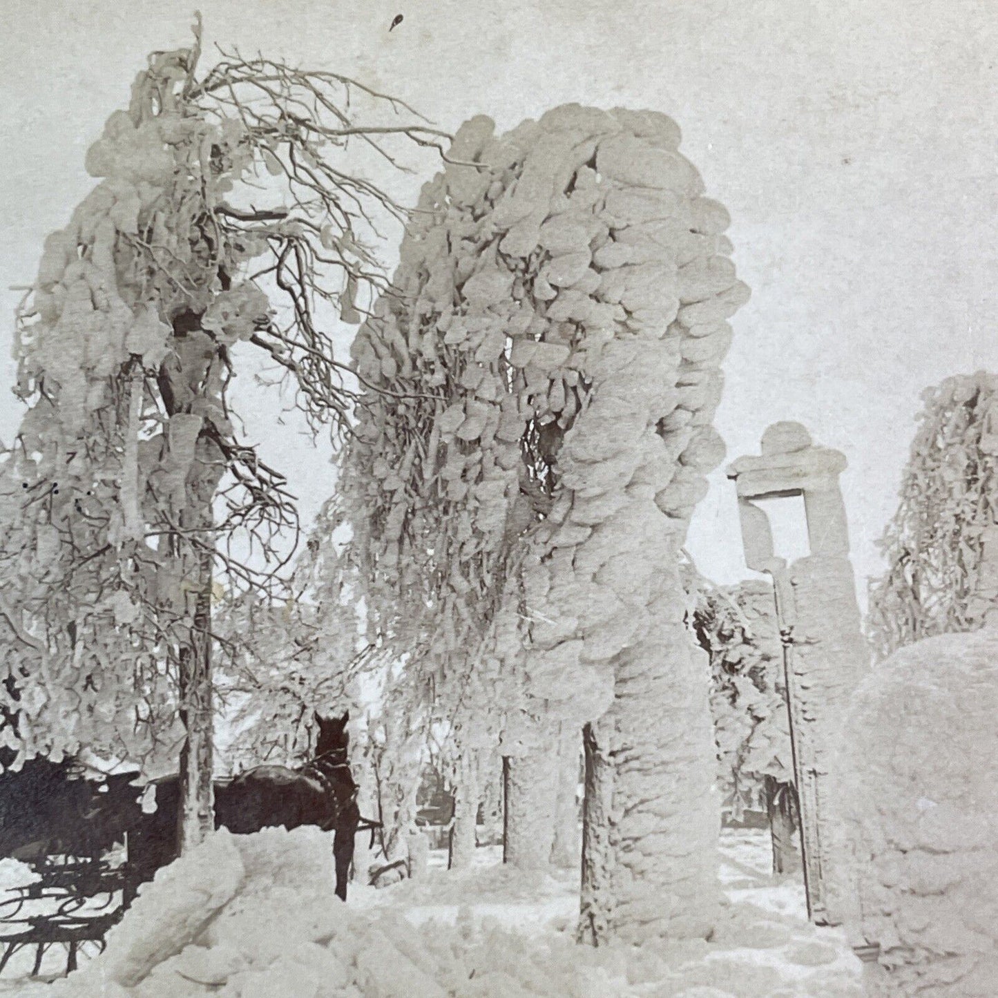 Snowstorm Buries Niagara Falls Luna Island Stereoview Antique c1886 X4114