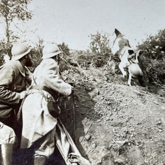 Antique 1917 French First Aid Dog Assists Soldiers Stereoview Photo Card P2788