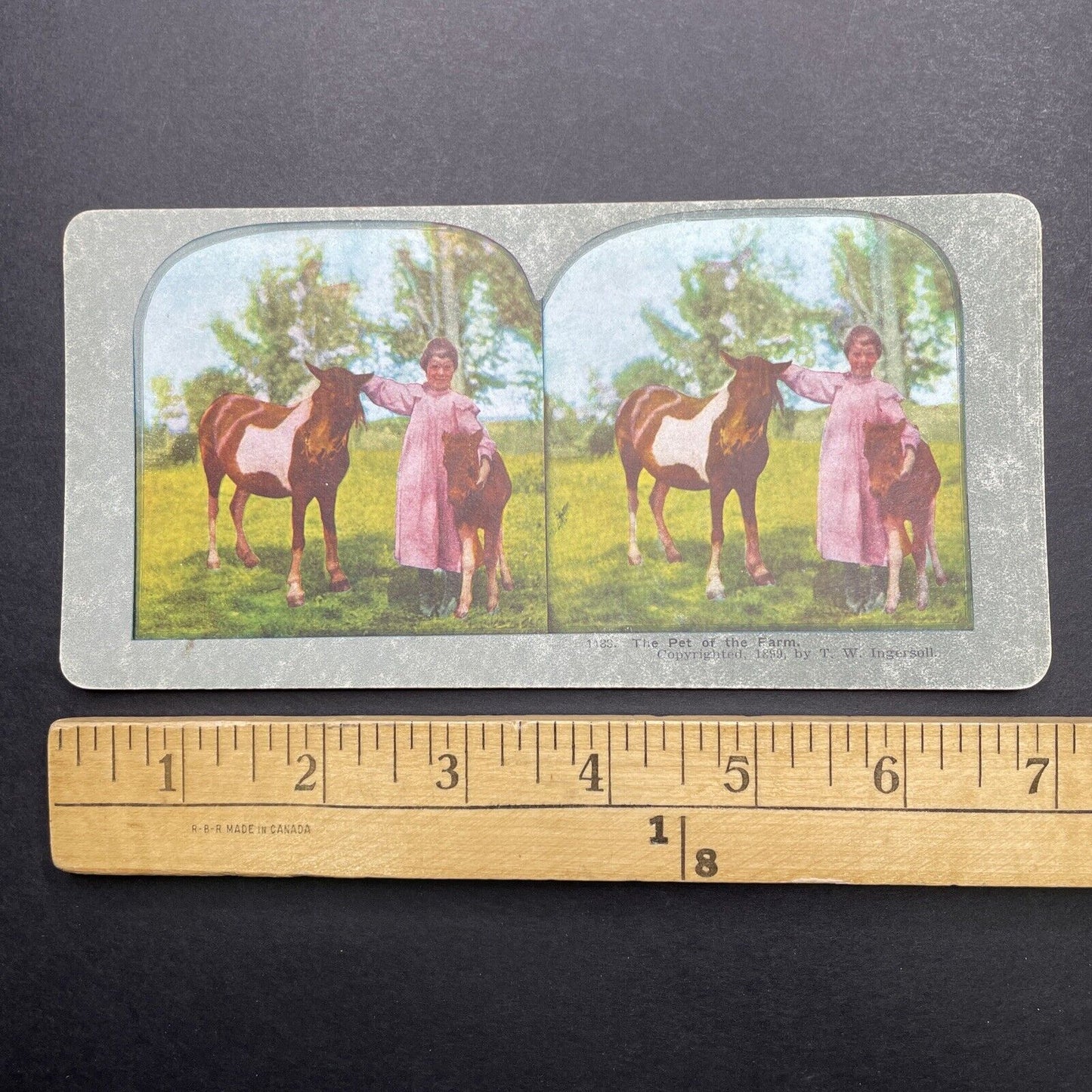 Antique 1899 Child With Her Ponies Pony Horse Stereoview Photo Card P580-016