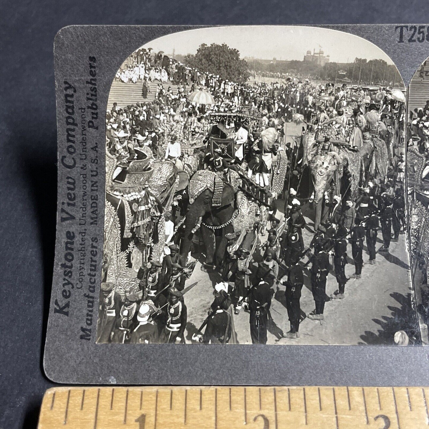 Antique 1910s Elephants Dressed Up Military Parade Stereoview Photo Card P4427