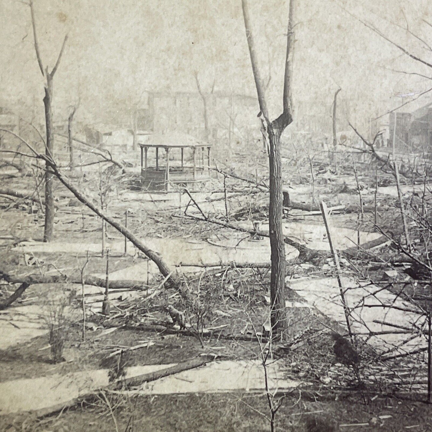 Louisville Kentucky F4 Tornado Disaster Stereoview Baxter Park c1890 X3741