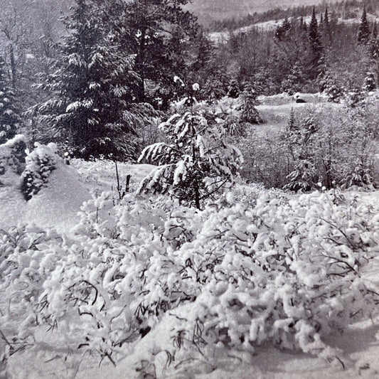 Antique 1874 Great Blizzard Of '74  Near Conway NH Stereoview Photo Card V1767