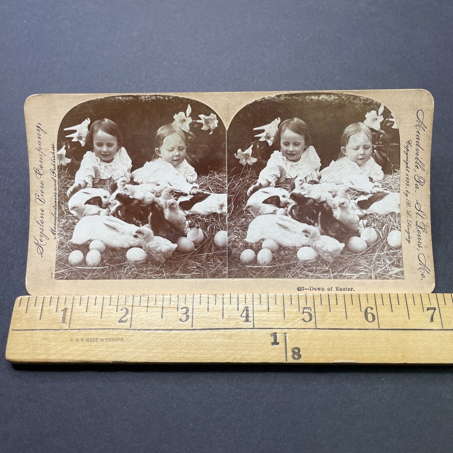 Antique 1899 Children Play With Easter Eggs, Bunnies Stereoview Photo Card P2605