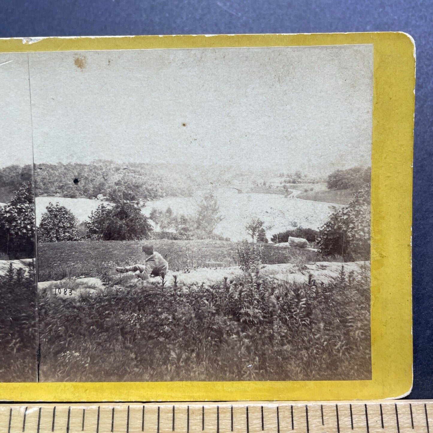 Antique 1863 Central Park Manhattan New York City Stereoview Photo Card V3419