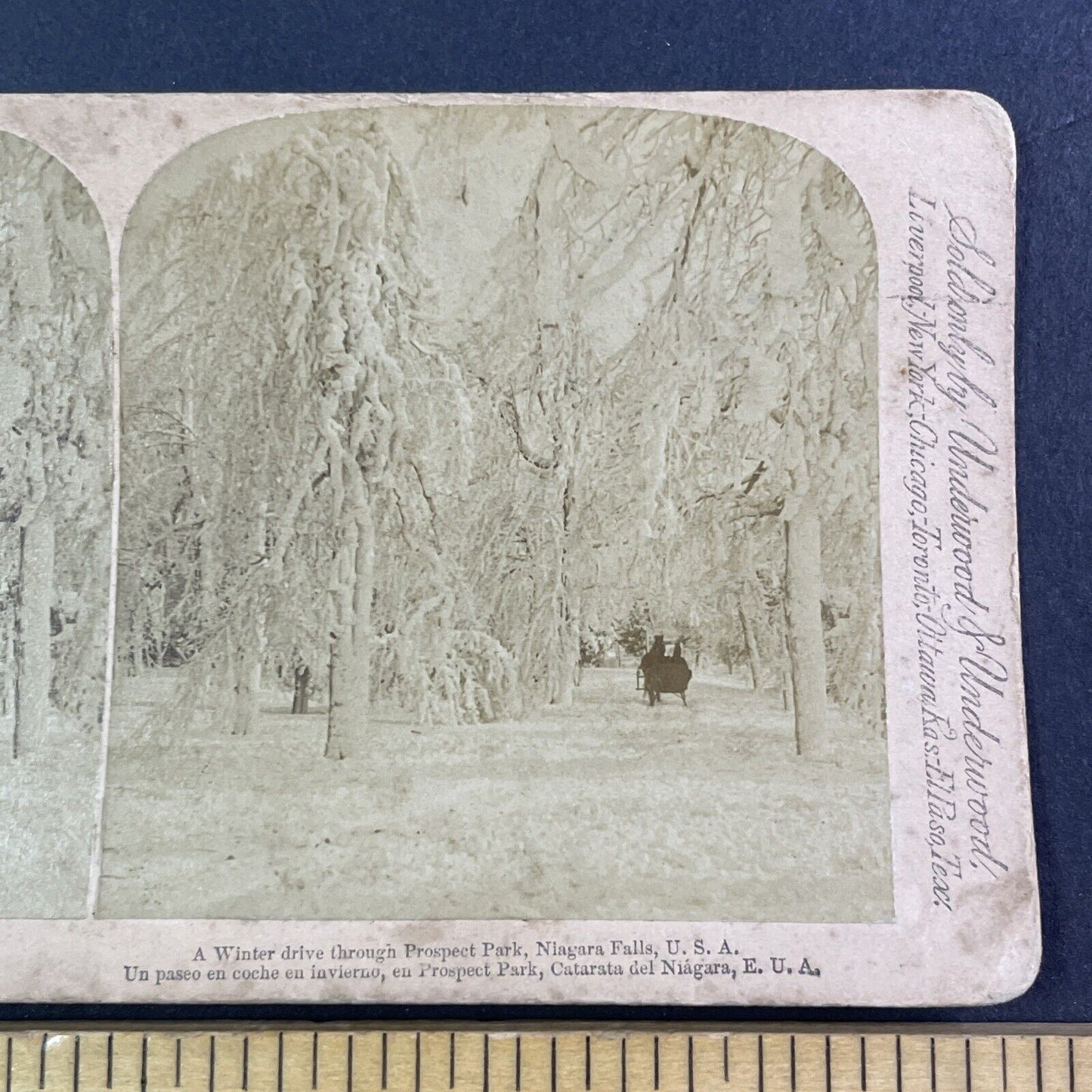 Winter Sleigh Ride in Prospect Park Stereoview Niagara Falls Antique c1893 Y2751