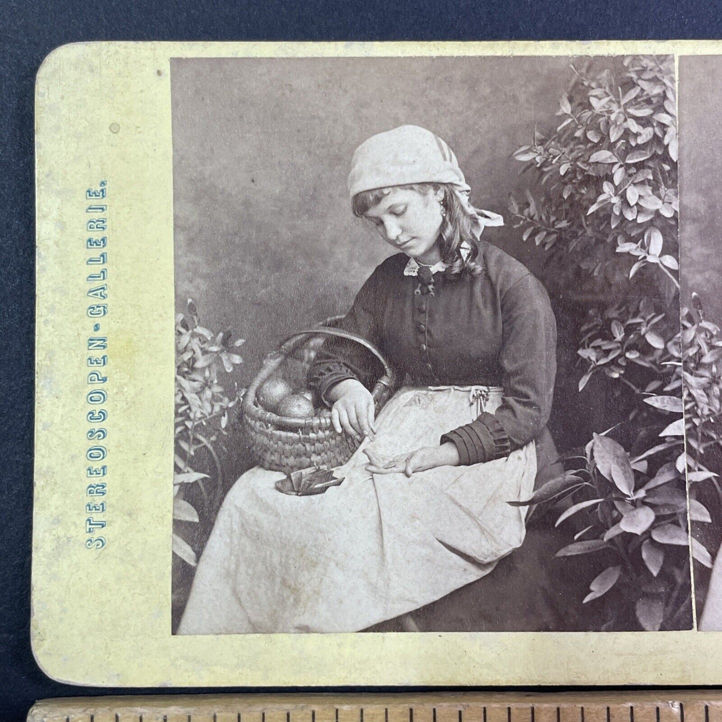 Girl Selling Oranges Counts Her Earnings Stereoview Sophus Williams c1870 Y1301