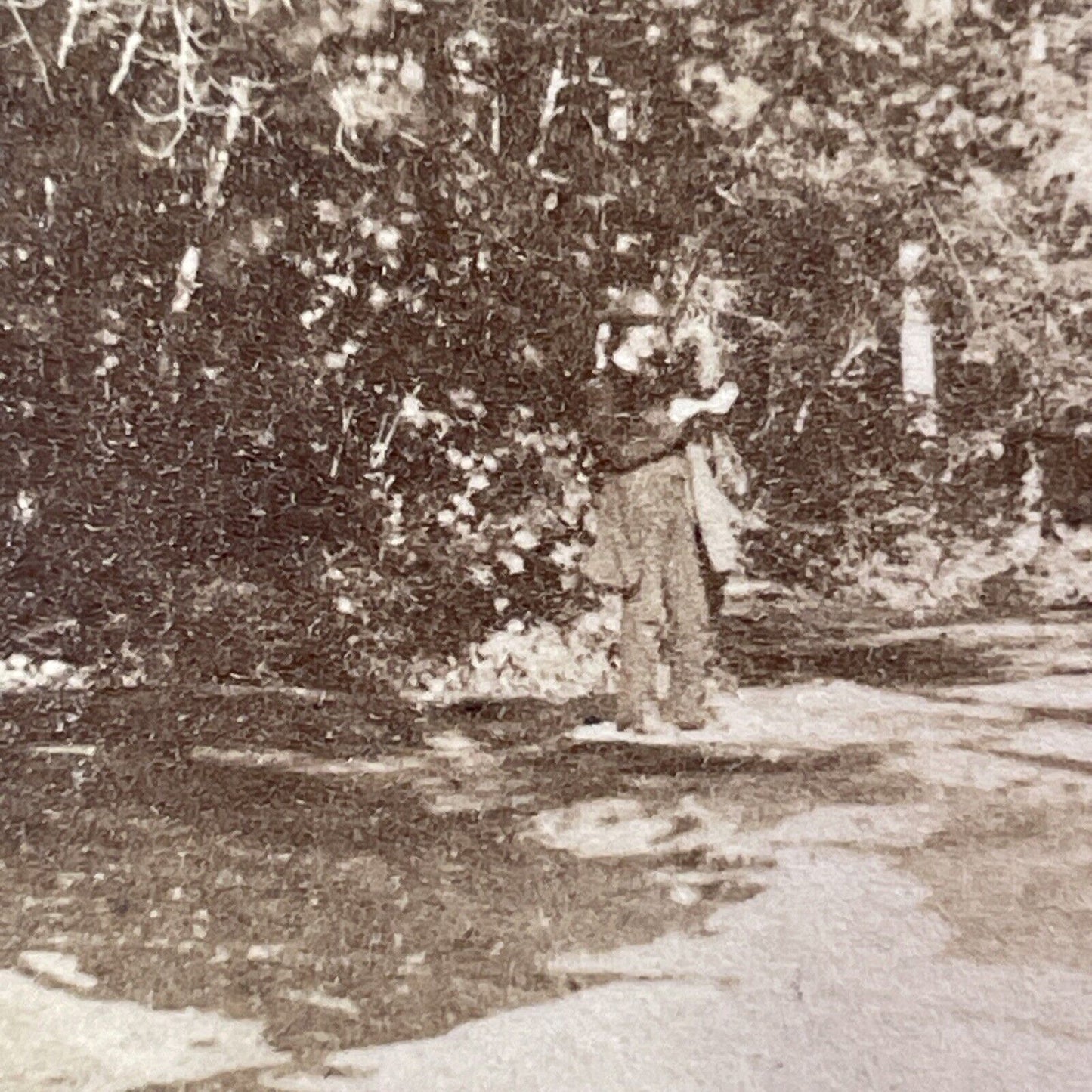 Charles Bierstadt Self Portrait Franconia Notch Stereoview Antique c1870 X979