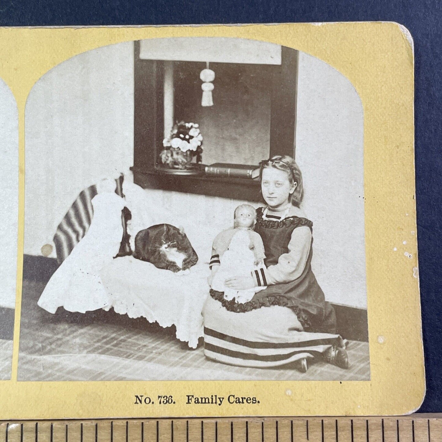 Child With Her Doll & Large Cat Stereoview Near Dumbwaiter Antique c1872 X1896