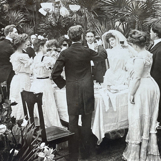 Antique 1903 A Wine Toast At A Victorian Wedding Stereoview Photo Card P2967