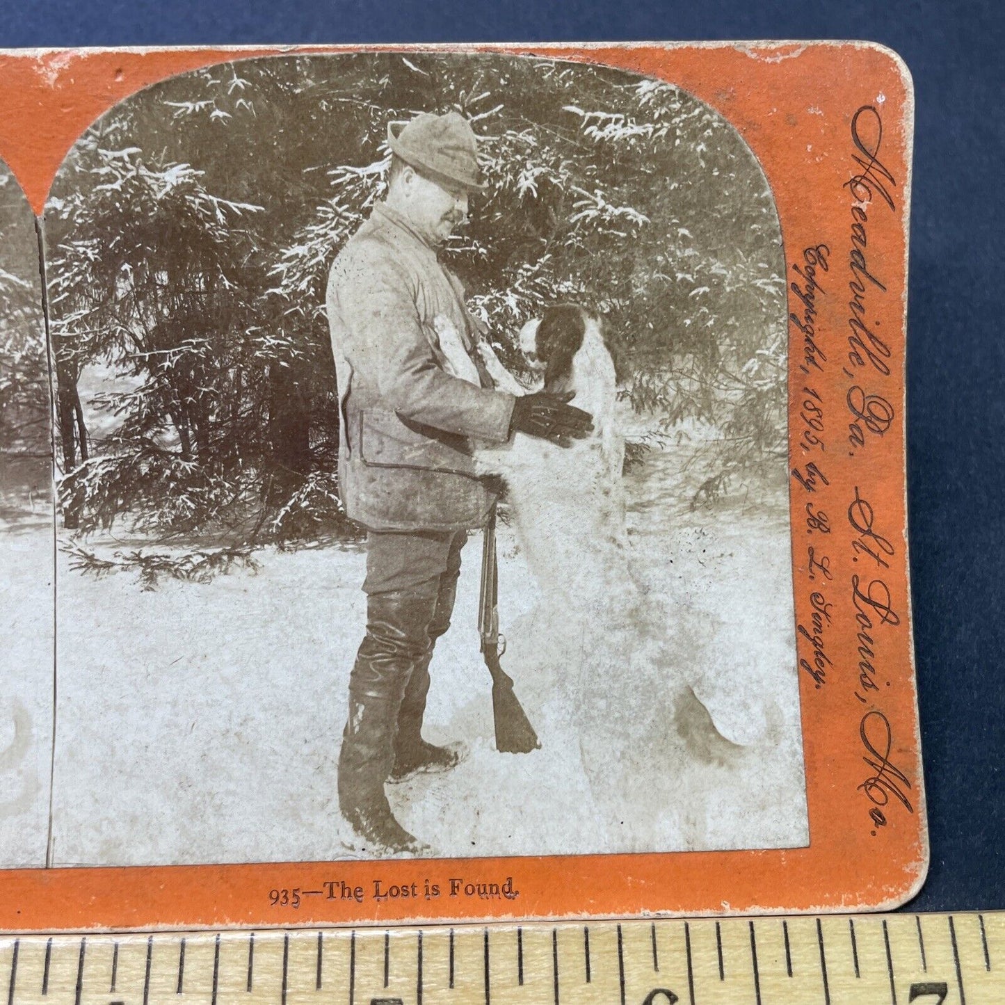 Antique 1895 A Man Pets His Hunting Dog Stereoview Photo Card P2719