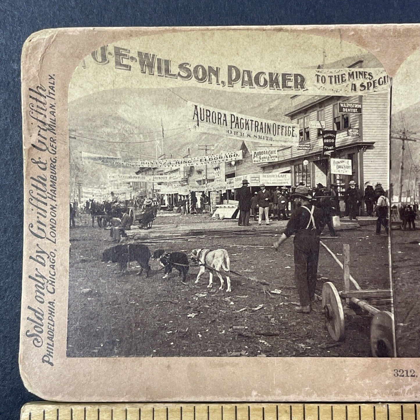 Dawson City Gold Mining Boom Town Stereoview Yukon Canada Antique c1900 X1237