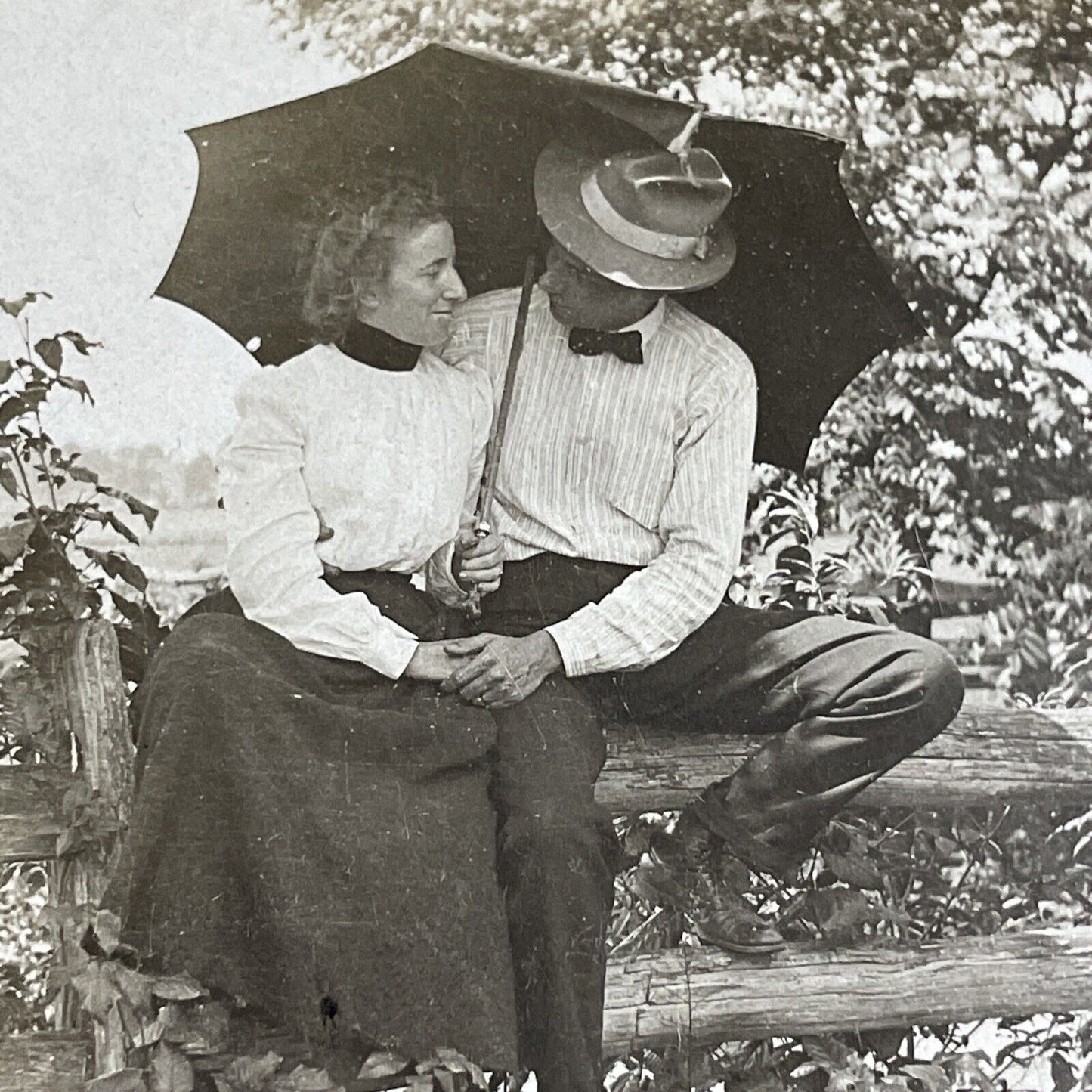 Antique 1904 A Young Couple Cuddles On A Fence Stereoview Photo Card P4685