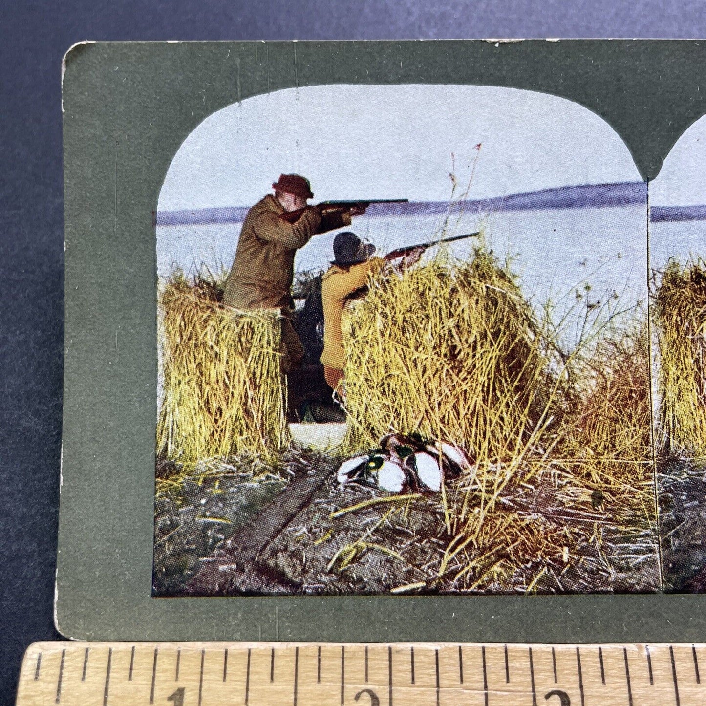 Antique 1904 Duck Hunters Shooting From A Blind Stereoview Photo Card V3409