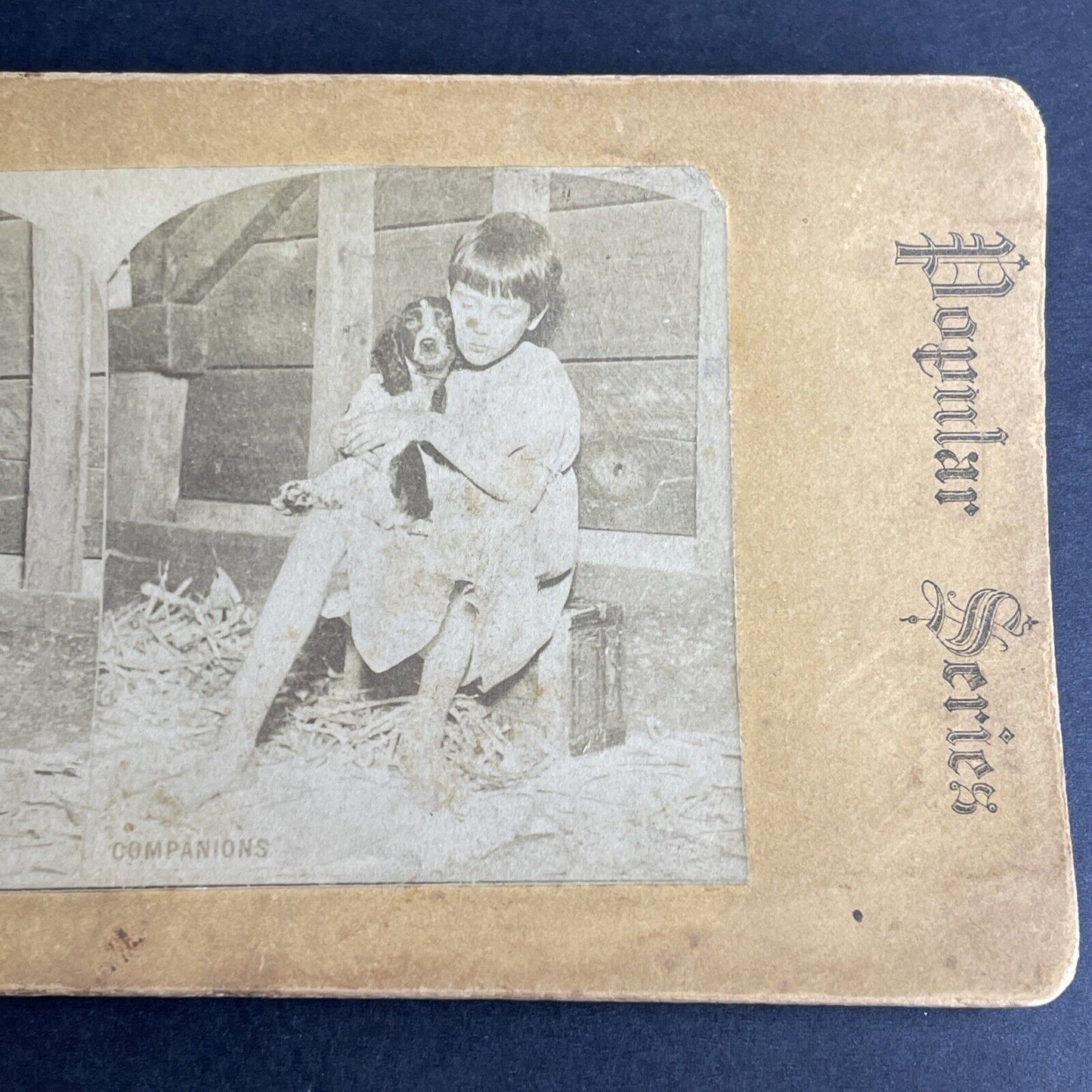 Antique 1870s Poor Girl With Cocker Spaniel Puppy Stereoview Photo Card P1021