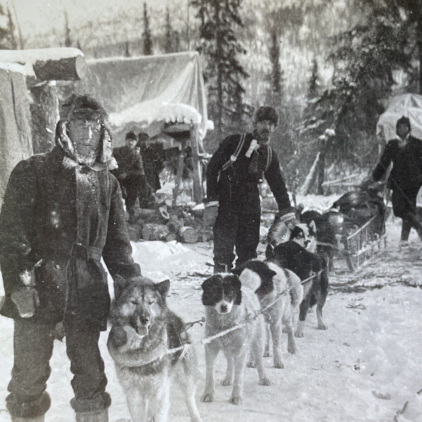 Antique 1909 Dog Sledding Sled In Northern Alaska Stereoview Photo Card V2885