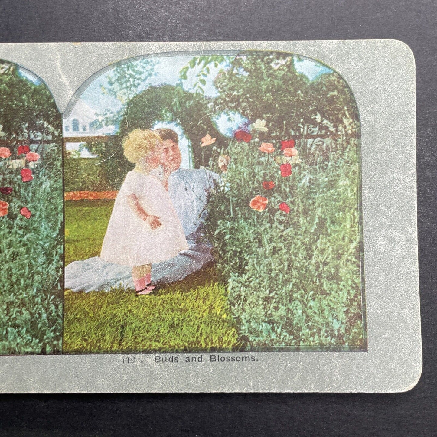 Antique 1898 Mother And Child Picking Flowers Stereoview Photo Card P1219