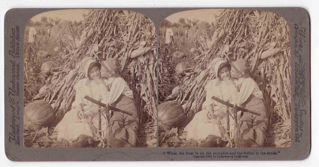 Antique 1904 Young Man Courting A Young Lady In Pumpkin Patch Photo Card P096