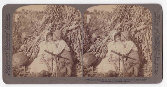 Antique 1904 Young Man Courting A Young Lady In Pumpkin Patch Photo Card P096