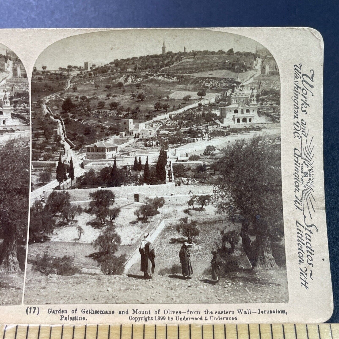 Antique 1899 Ancient Gardens Of Jerusalem Israel Stereoview Photo Card P3896