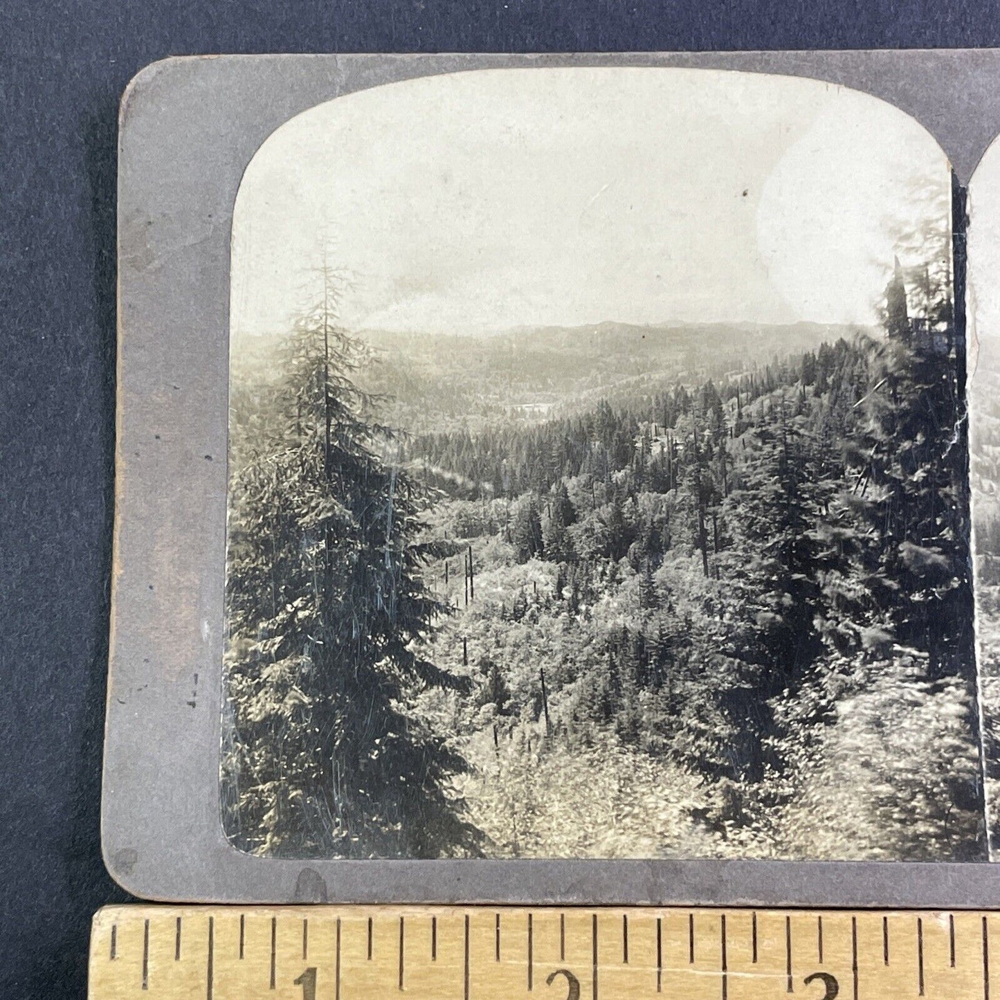 Blairsden California Vista Mountain View Stereoview Antique c1910 X1607