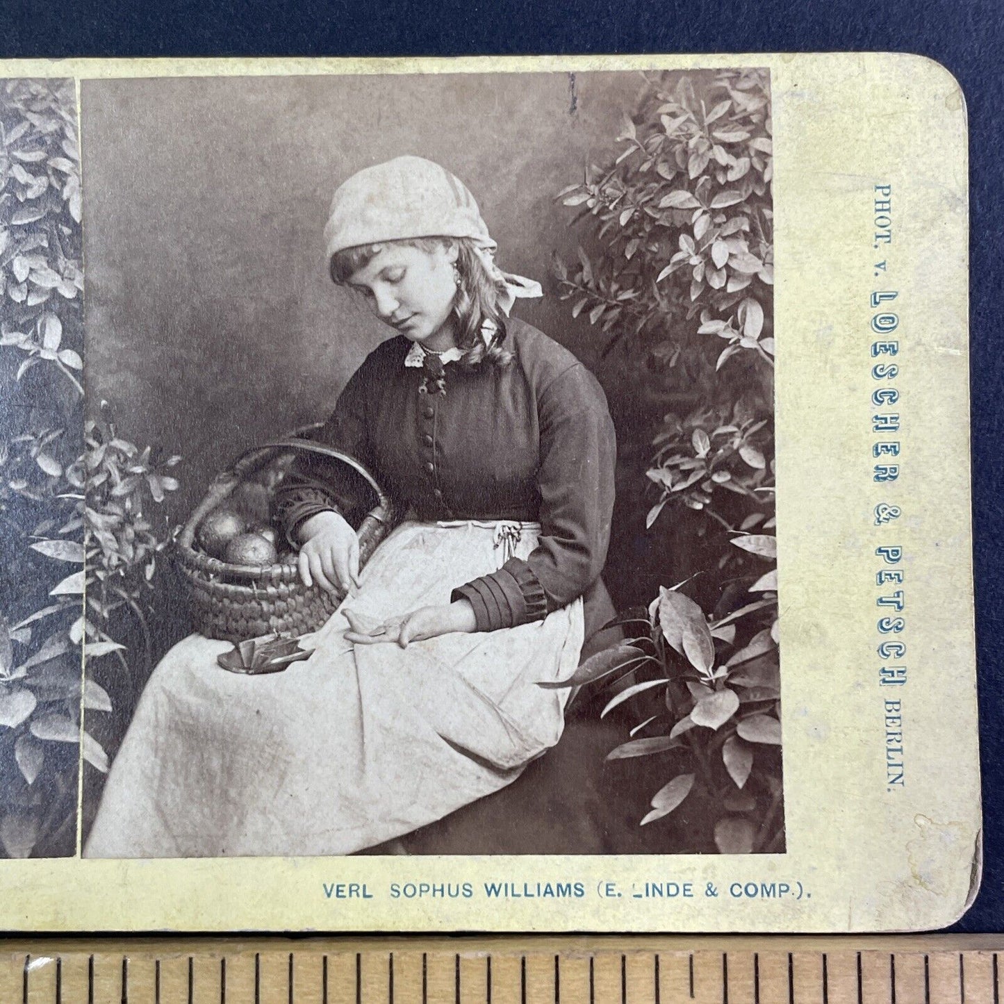 Girl Selling Oranges Counts Her Earnings Stereoview Sophus Williams c1870 Y1301