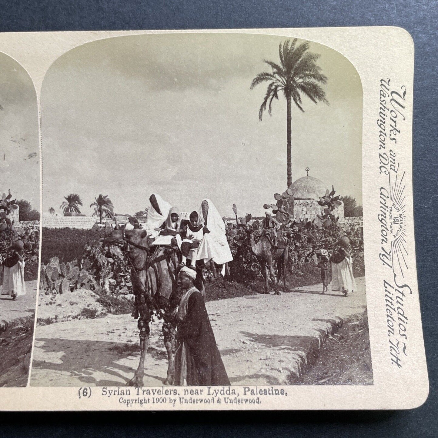 Antique 1900 Syrian Family On Camel Lydda Israel  Stereoview Photo Card P1390