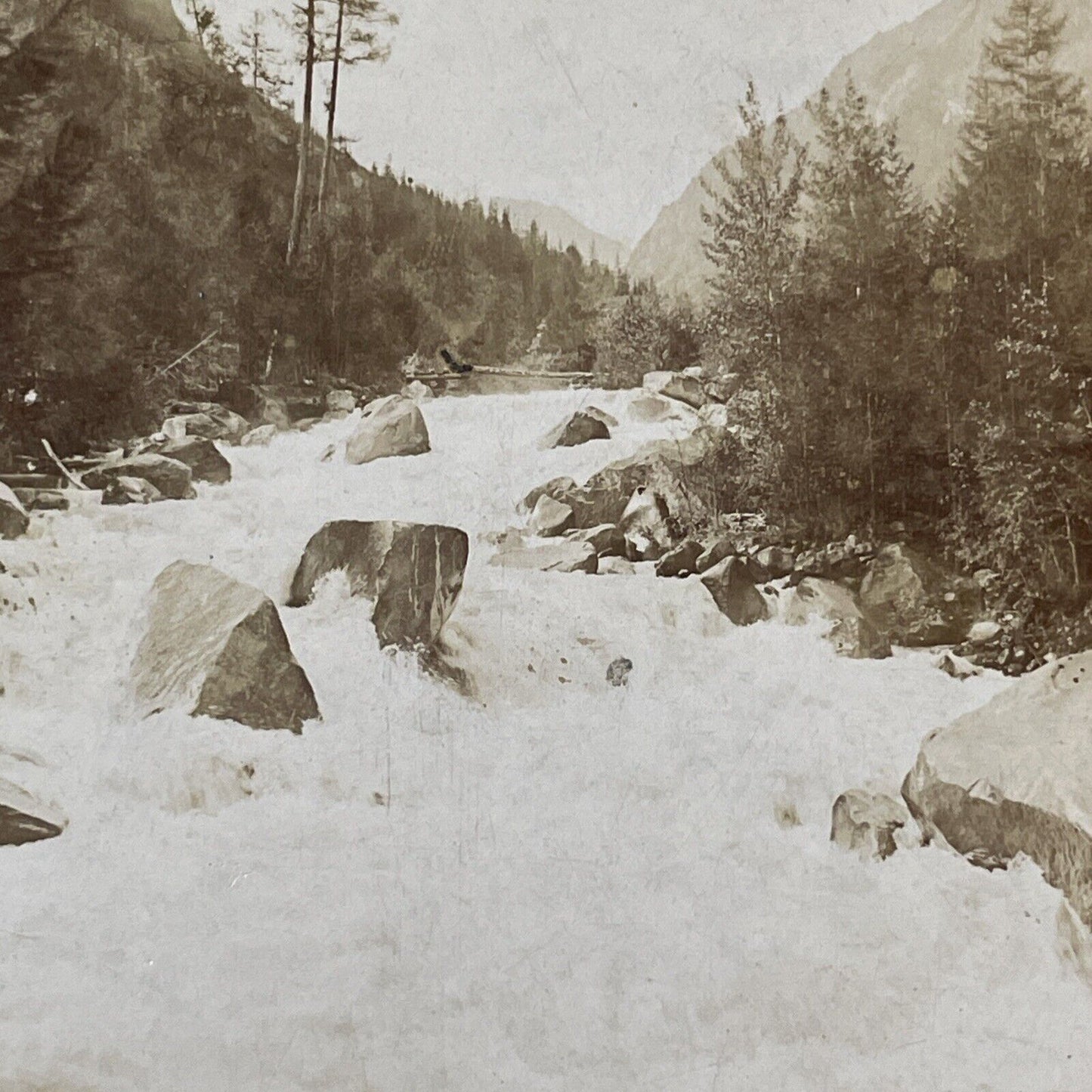 Argut River Altai Mountains Russia Stereoview IR Tomashkevich Antique 1893 X2579