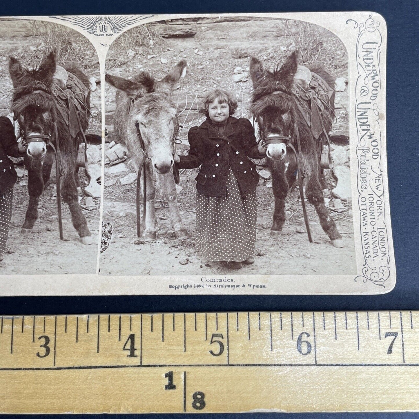 Antique 1894 Child With Two Donkeys In Desert Stereoview Photo Card PC794