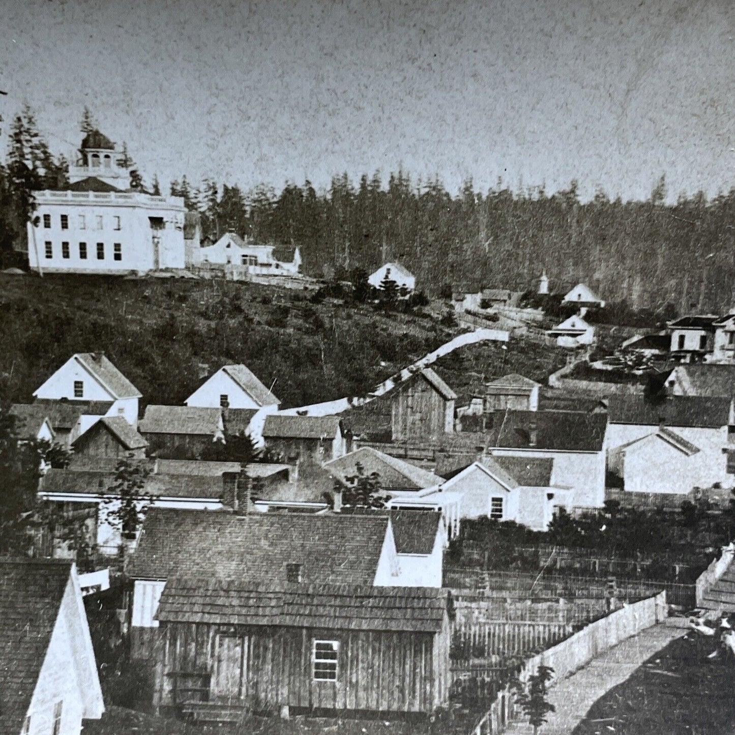 Seattle Washington Pine Street Stereoview Original Celluloid Photo c1870s Y471