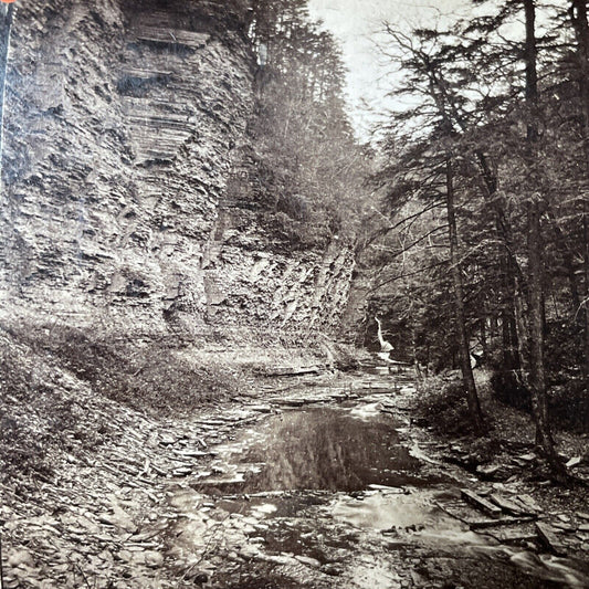 Antique 1860s Watkin's Glen Gorge Cliffs New York Stereoview Photo Card V1800