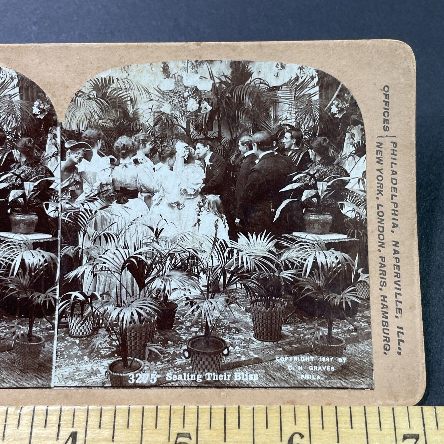 Antique 1897 Bride And Groom Victorian Wedding Kiss Stereoview Photo Card P2927