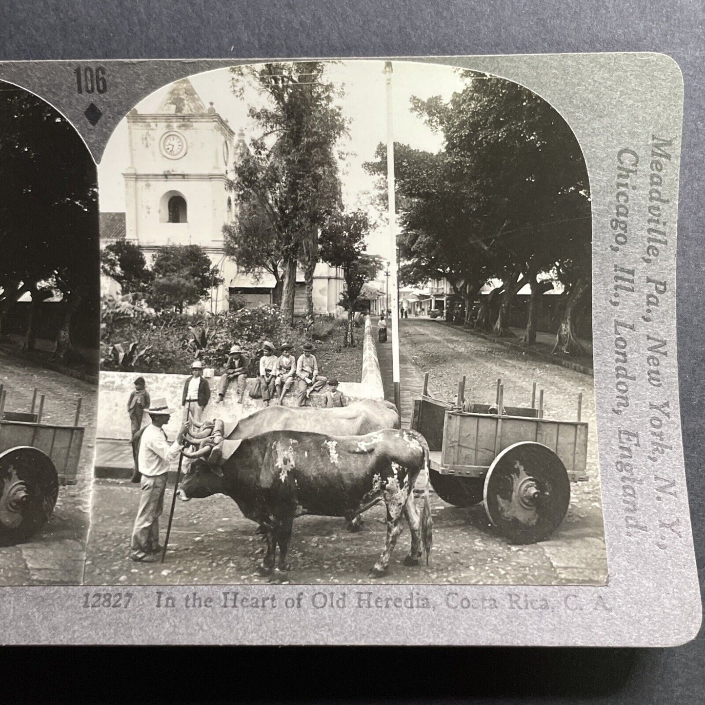 Antique 1918 Cattle Pulling Cart Heredia Costa Rica Stereoview Photo Card P1563