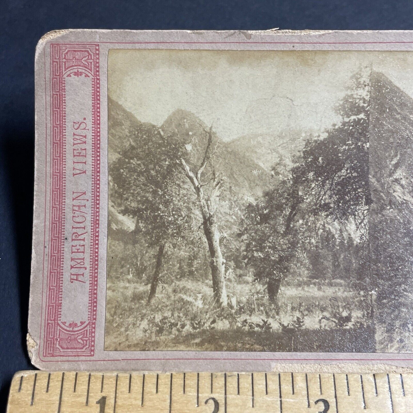 Antique 1870s Yosemite Park California Stereoview Photo Card P4781