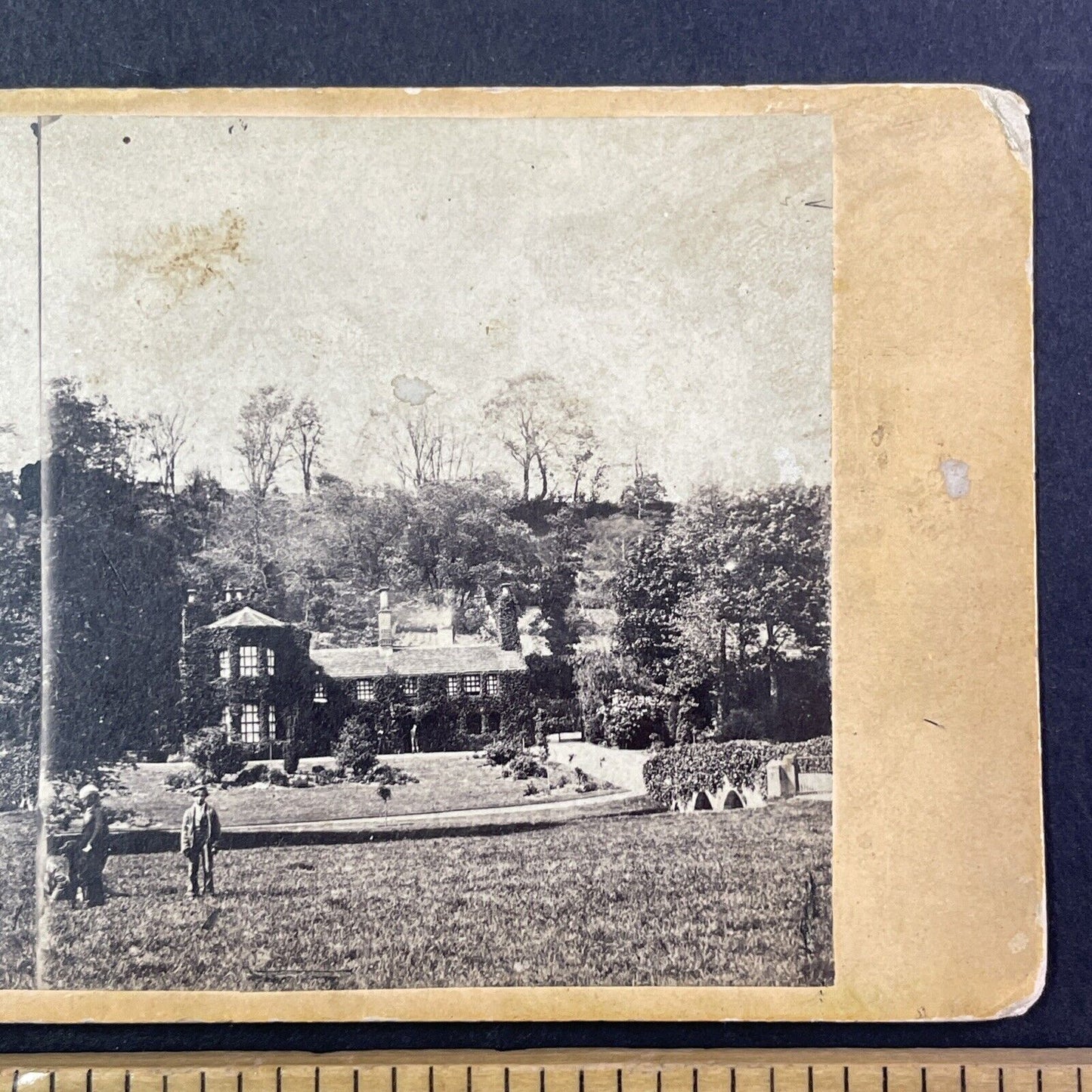 Rookery Cottage Mansion Ashford England UK Stereoview Antique c1880 X2595