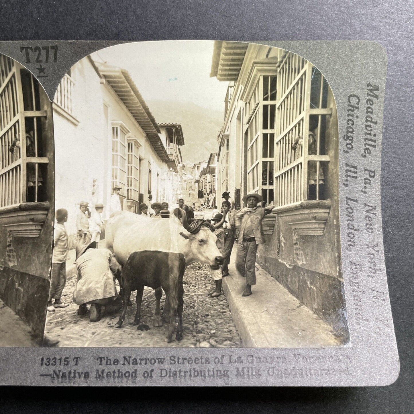 Antique 1918 Milking Cows Downtown Caracas Venezuela Stereoview Photo Card P1366