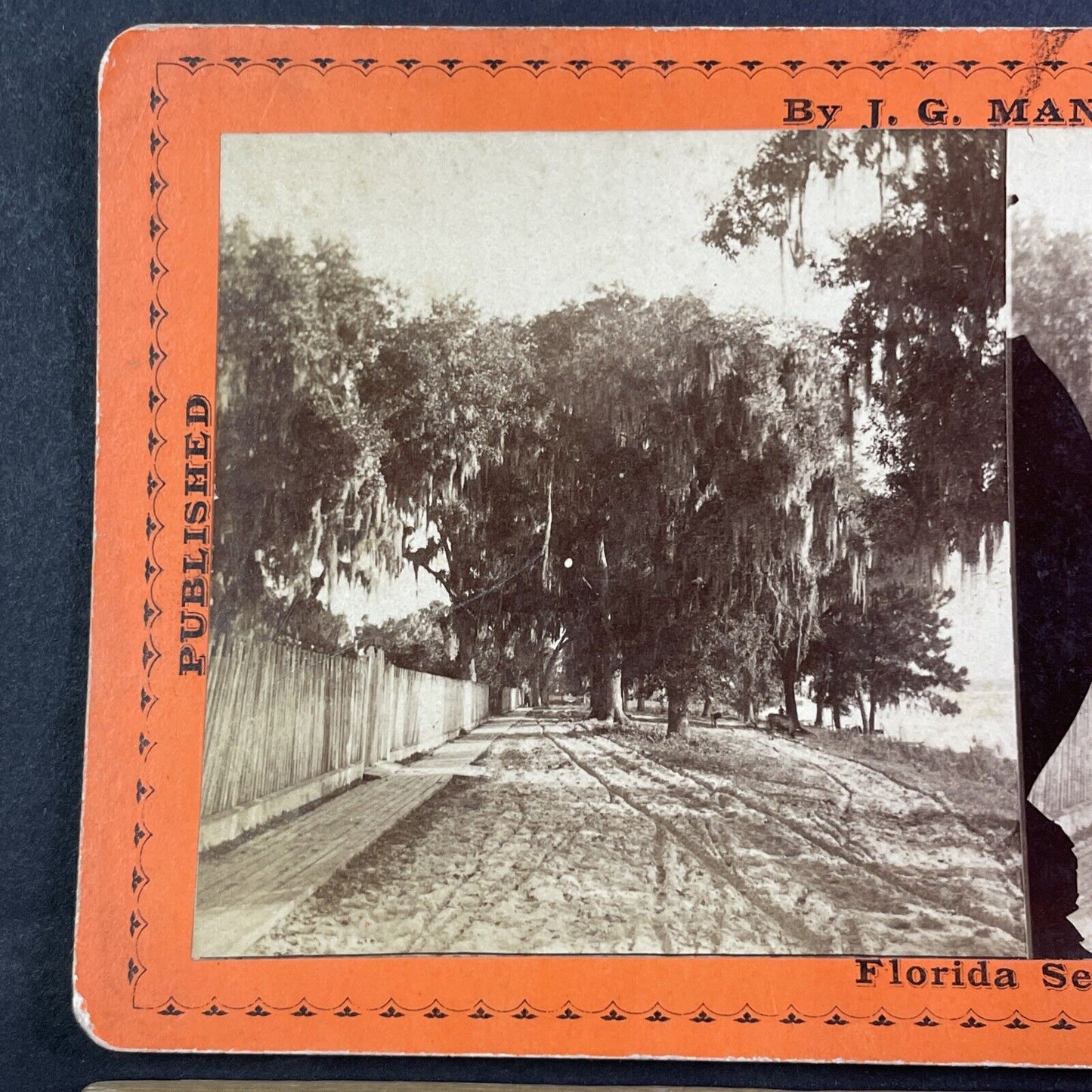 River Street Palatka Florida Stereoview J.G. Mangold Antique c1878 Y091