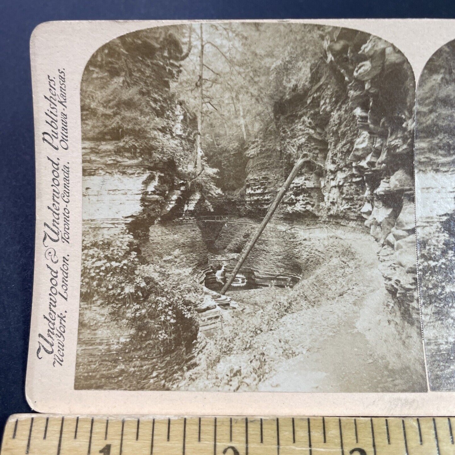 Antique 1890s Fallen Tree In Watkins Glen Gorge NY Stereoview Photo Card P3834