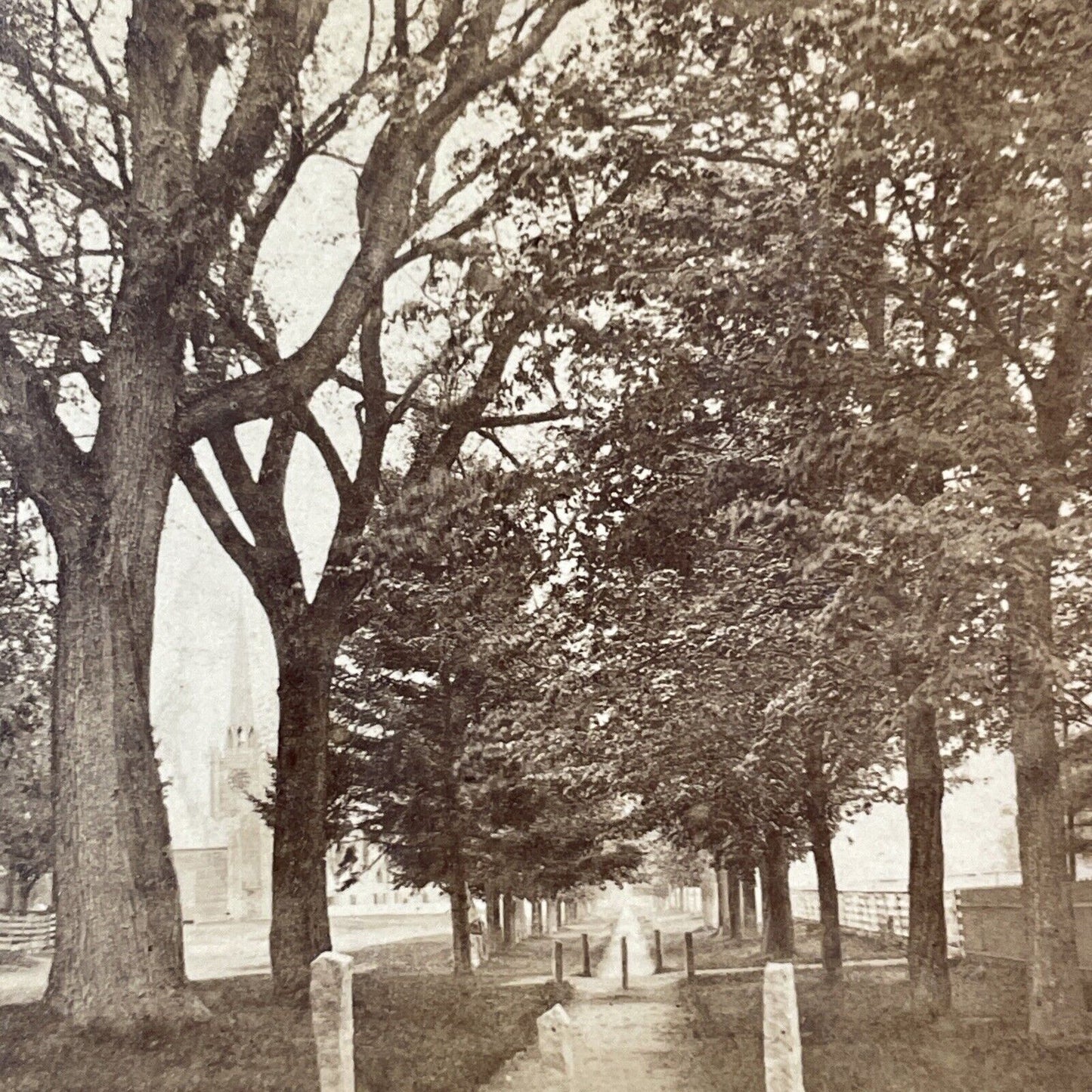 Orford New Hampshire Mall View Stereoview CB Cheney Photo Antique c1860s X867