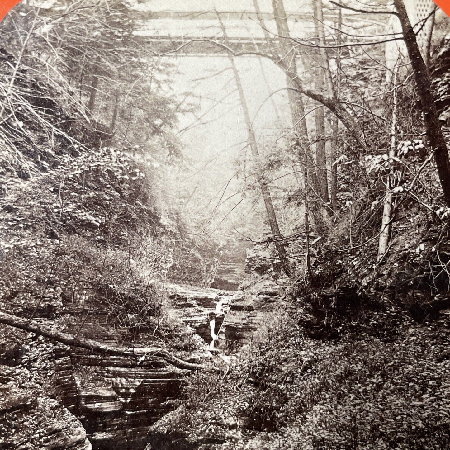 Antique 1860s Watkin's Glen Gorge Bridge New York Stereoview Photo Card V1797