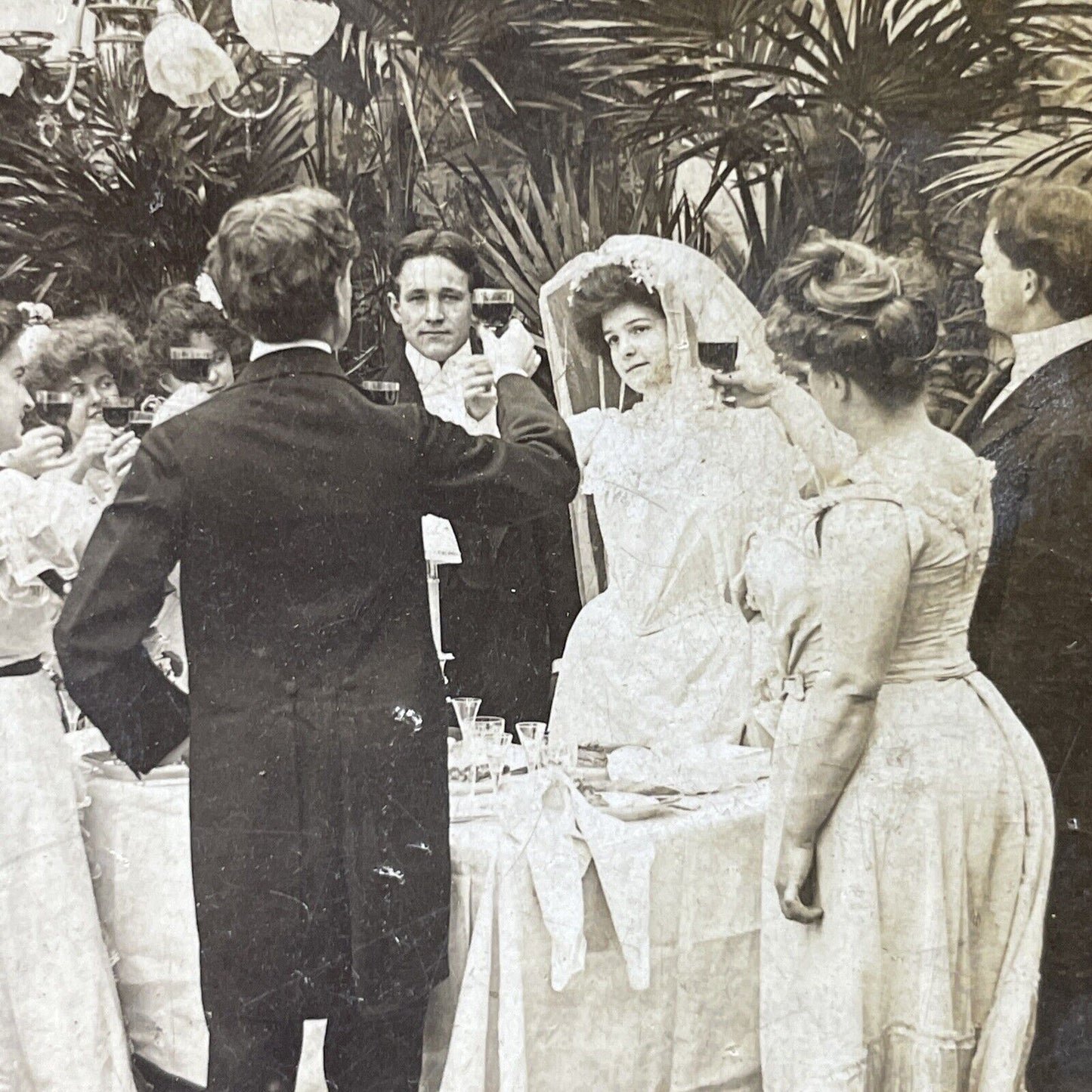 Antique 1902 A Wine Toast At Wedding Dinner Stereoview Photo Card P2888