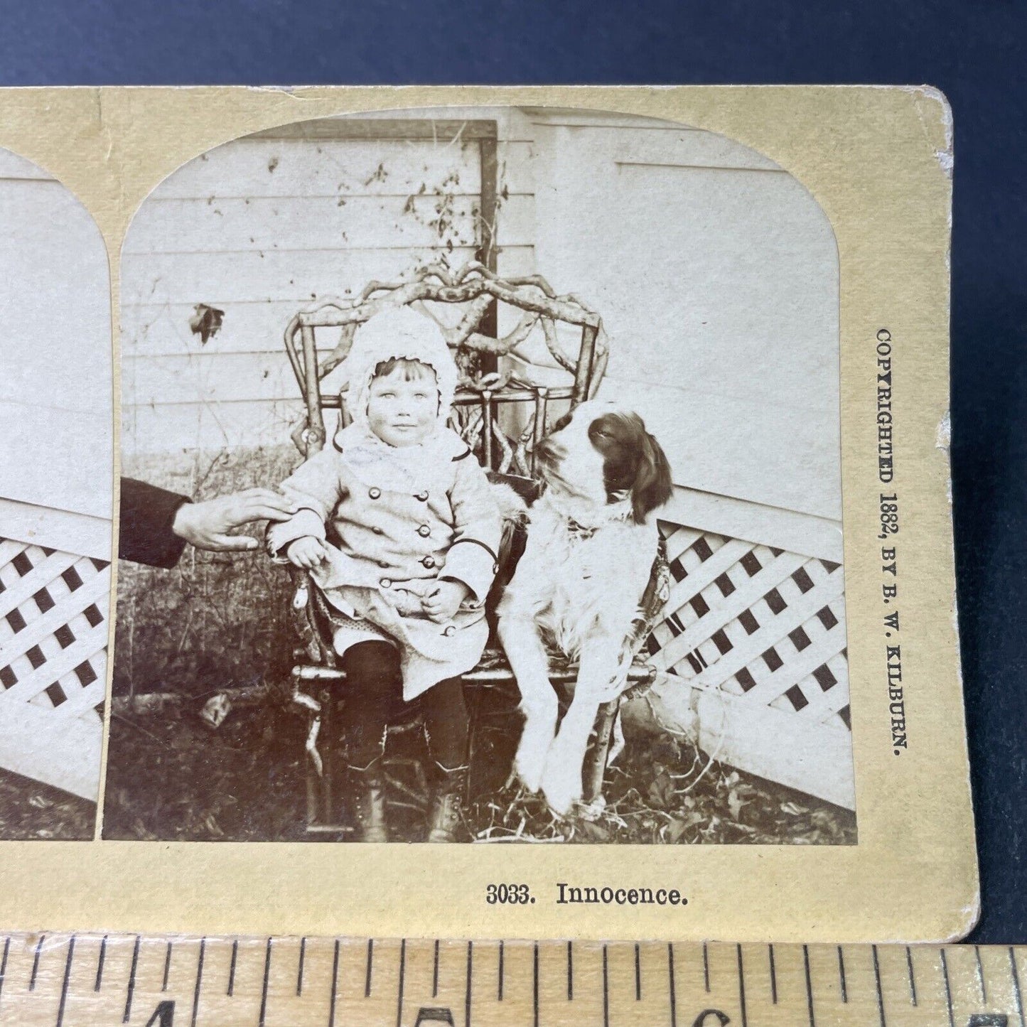 Antique 1882 Toddler With A Cocker Spaniel Dog Stereoview Photo Card P3009